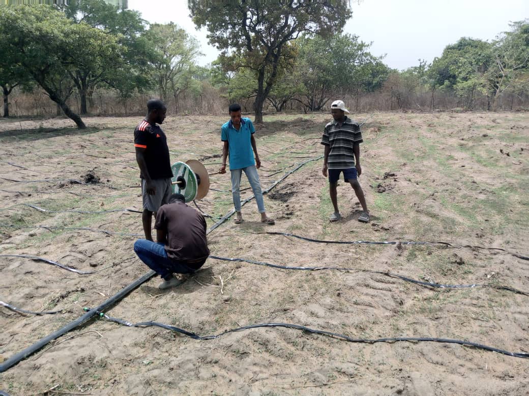 Agro Services background