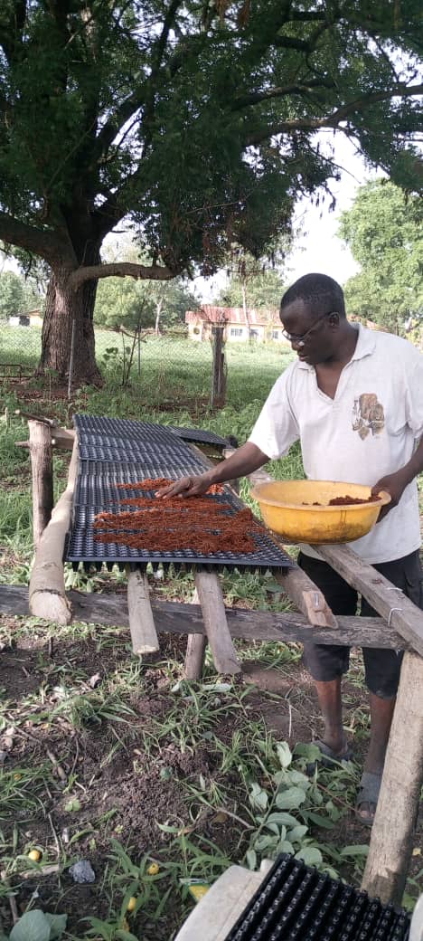 Promote Christian Fellowship